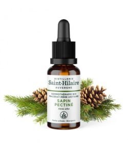 Silver fir (Abies alba) bud BIO, 30 ml